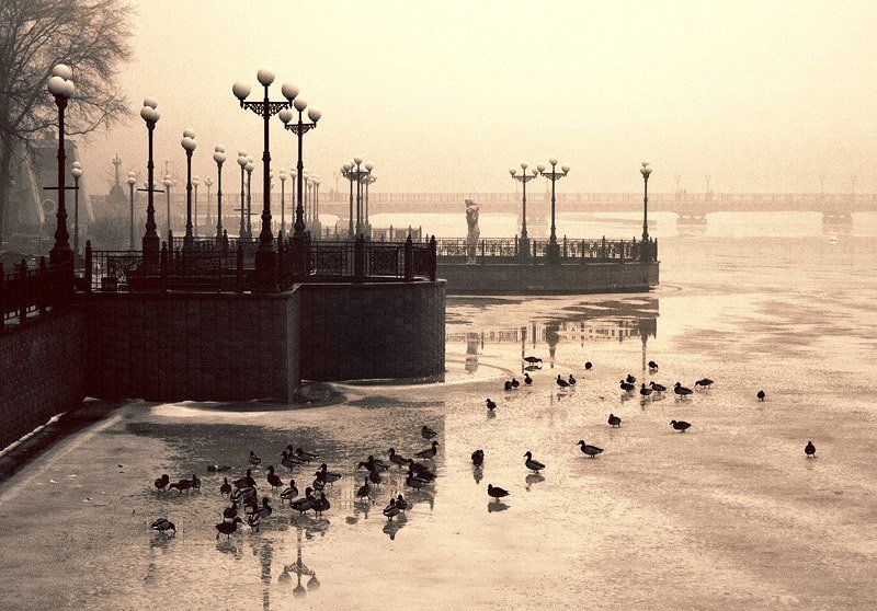 Однажды январским зимним днем...photo preview