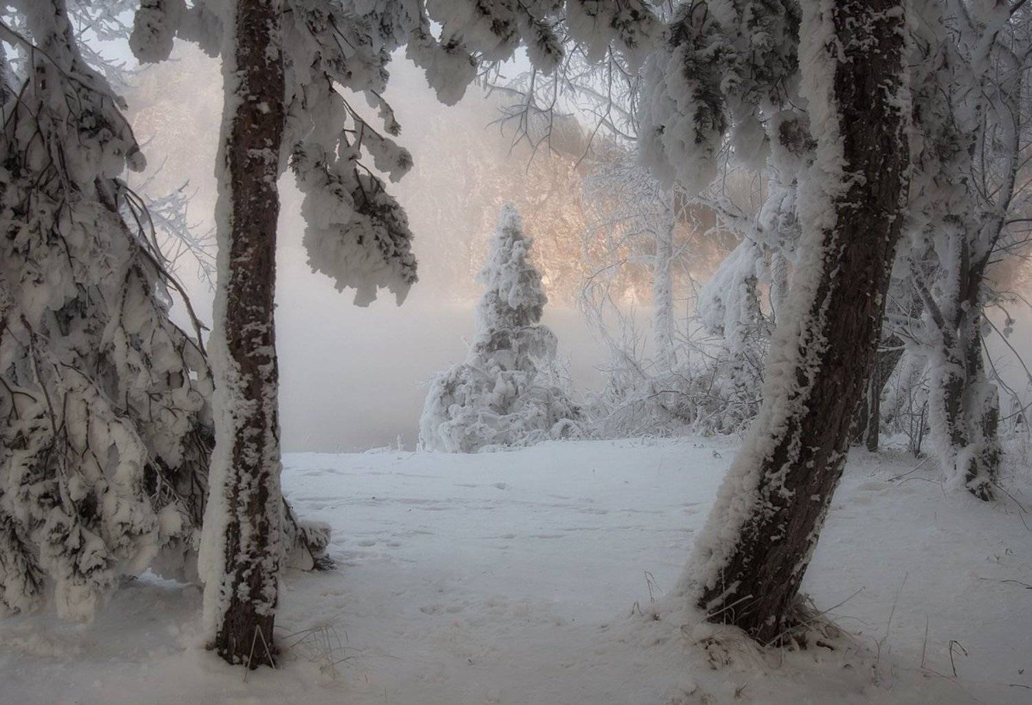 зима. мороз. енисей., Марина Фомина