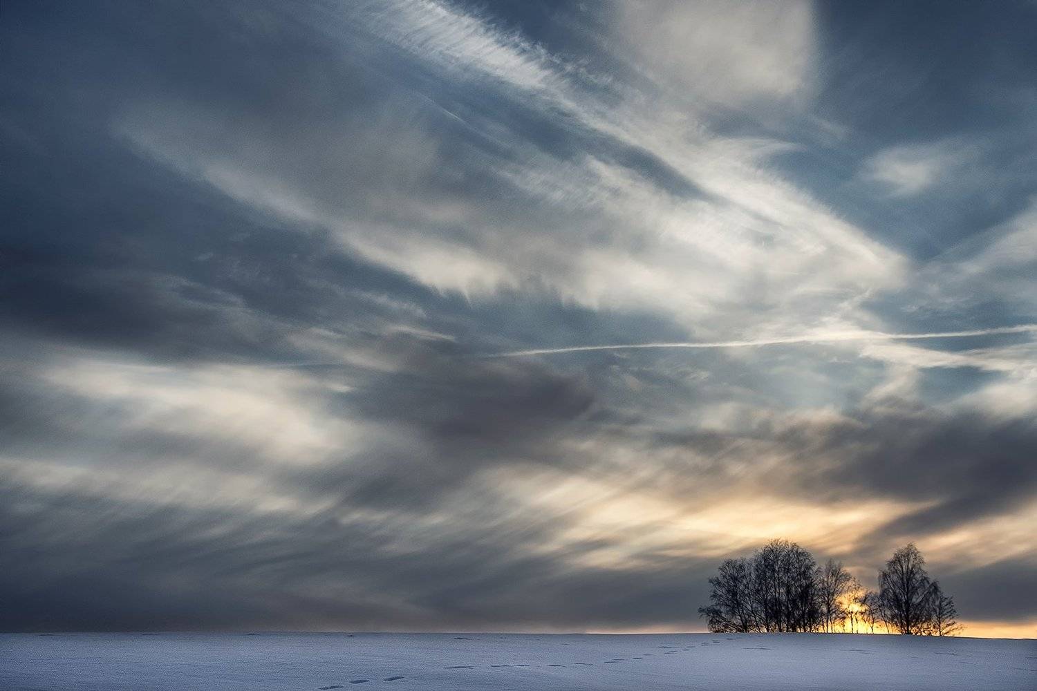 , Rimantas Bikulcius