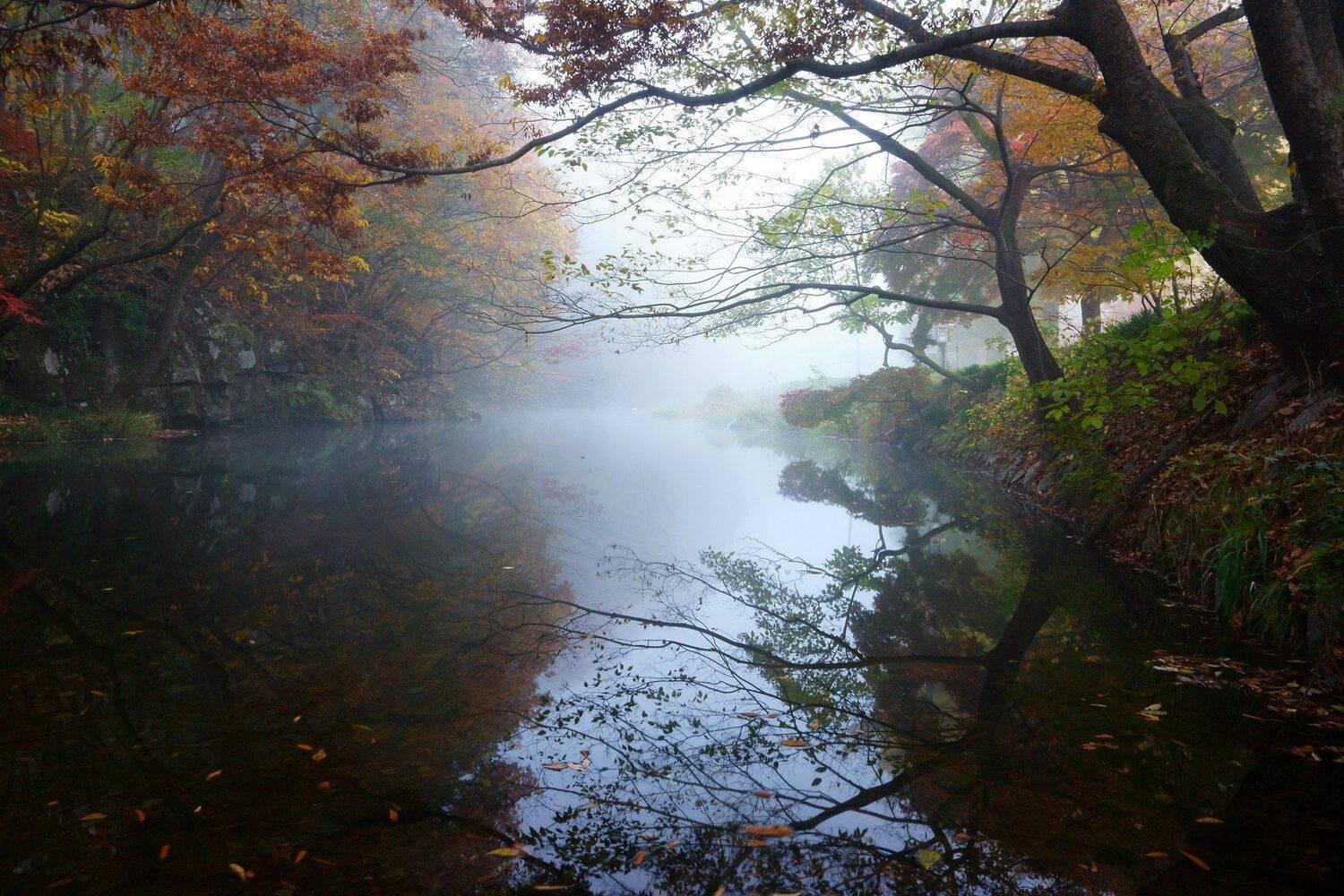 asia,korea,south korea,jeollabukdo,seonunsa temple,morning,misty,stream,fog,reflection, Shin