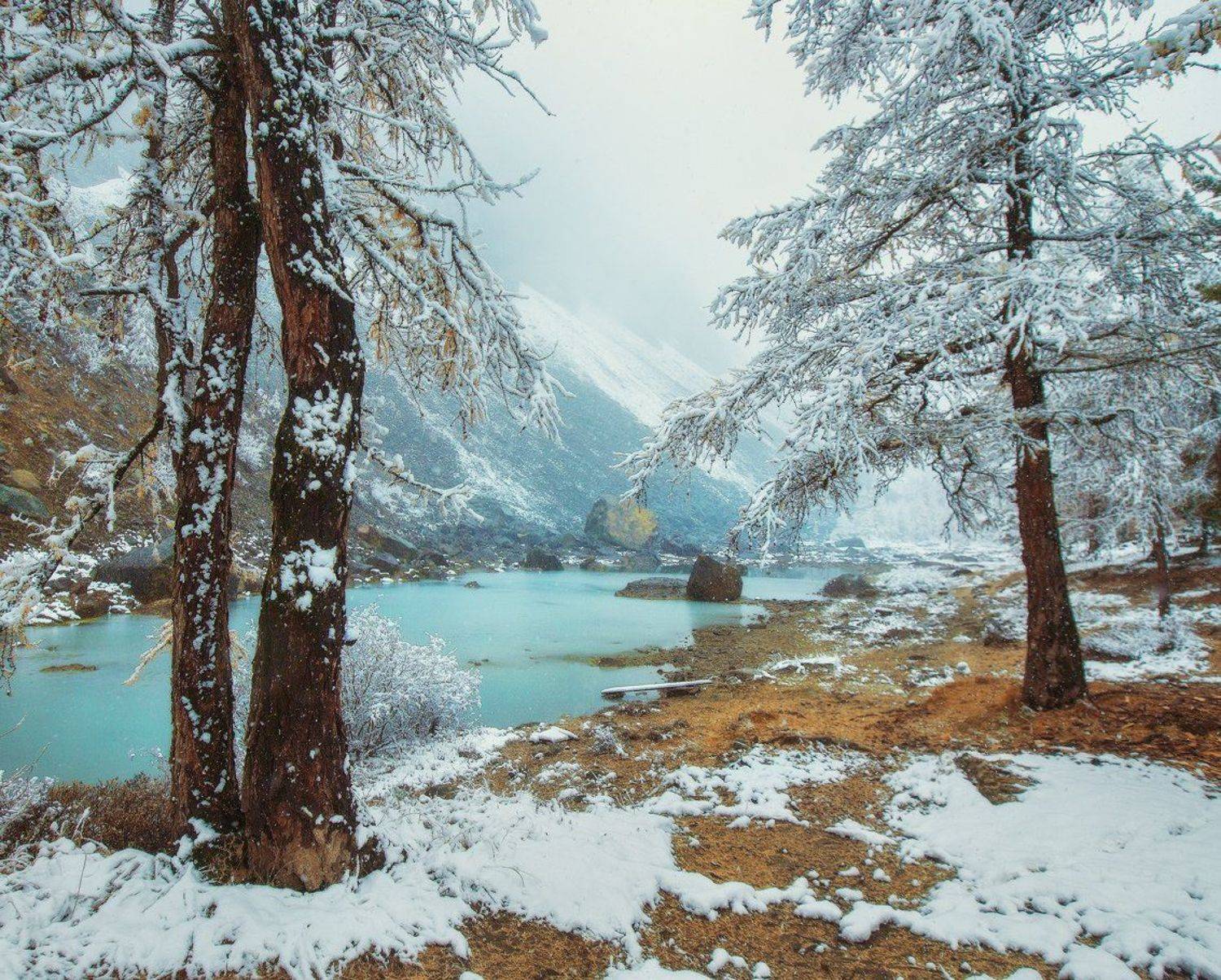 .... Автор: Владимир Липецких алтай, актру, Владимир Липецких