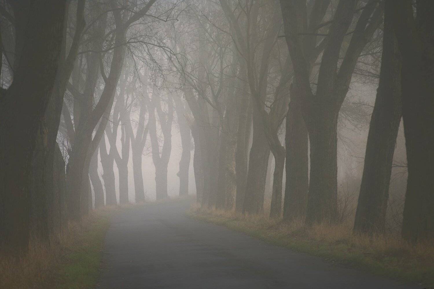 ***. Автор: MiroM , MiroM