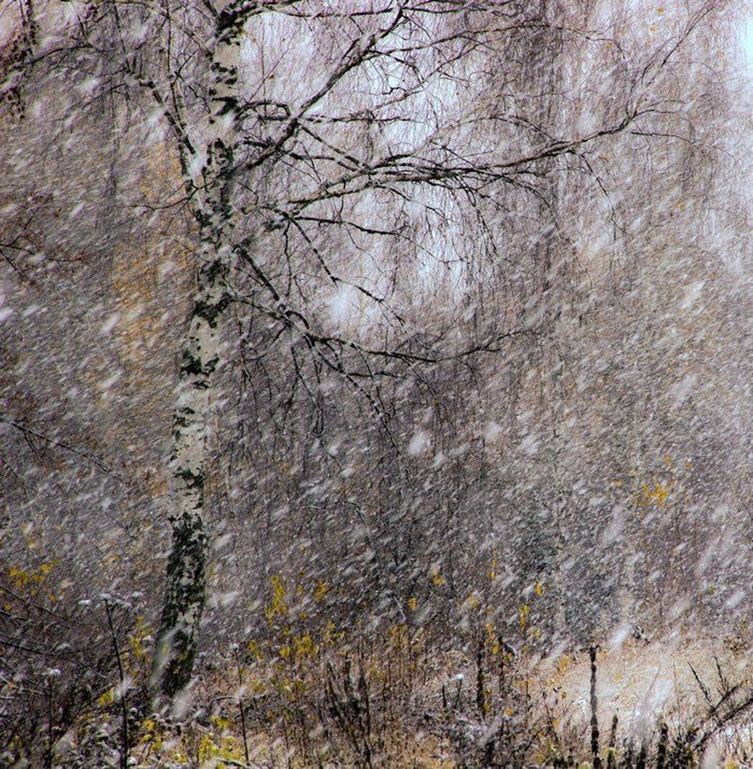 ***. Автор: Stream , Stream