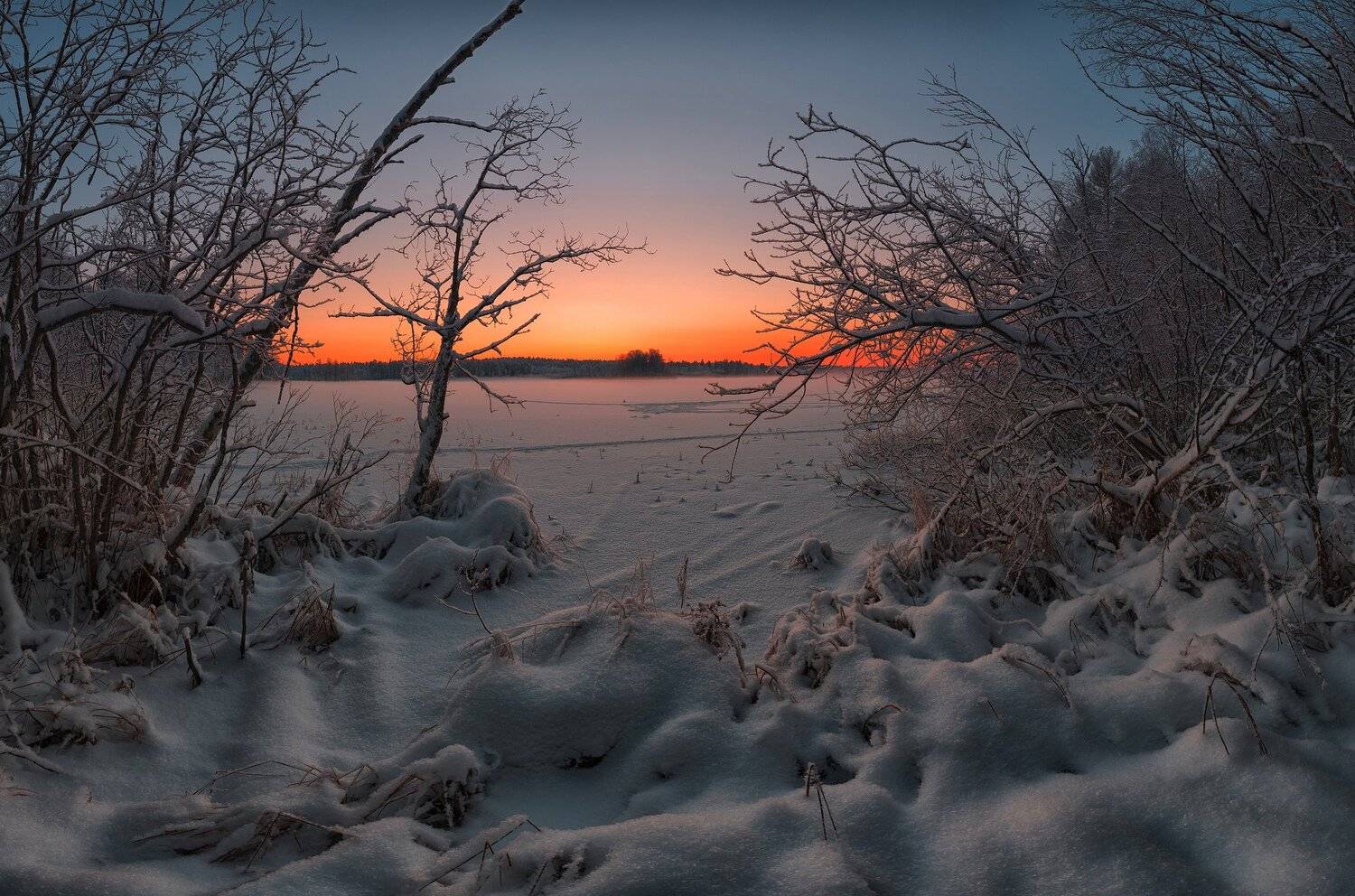 К морозу.... Автор: Олег Авдеев , Олег Авдеев