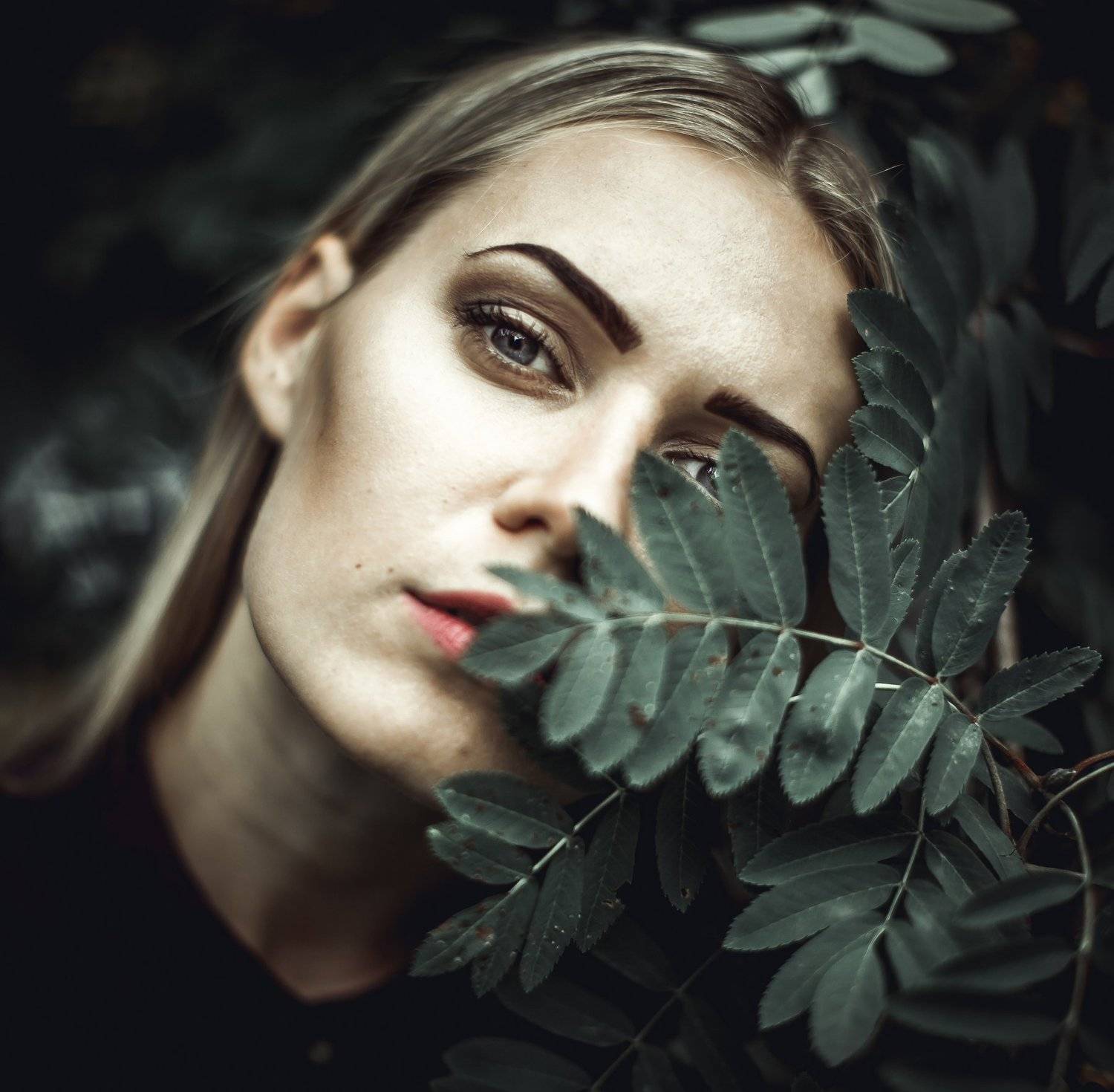 , Eimis &Scaron;er&scaron;niovas