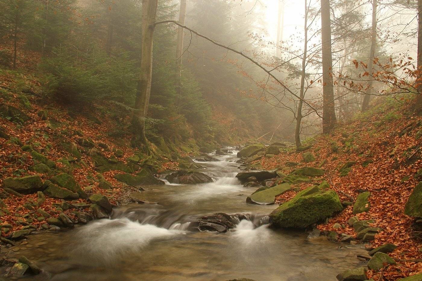 , Krzysztof Tomasiak