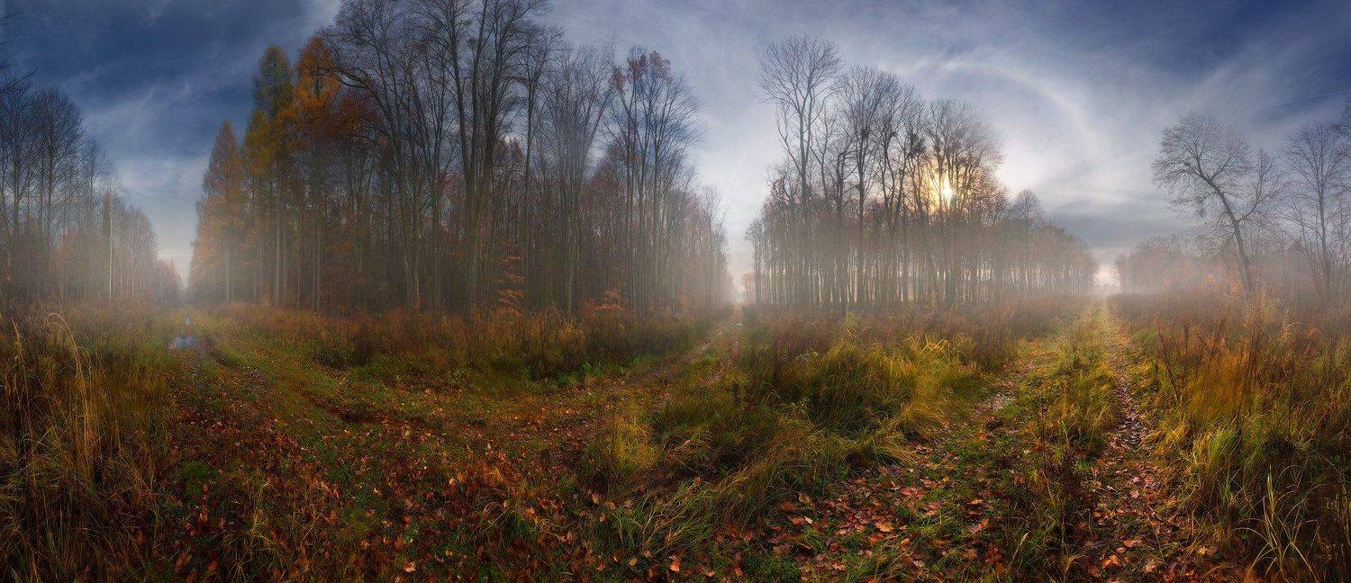 Осенние перекрестки. Автор: Владимир осень, ноябрь, лес, утро, дороги, перекресток, солнце, туман, гало, Владимир