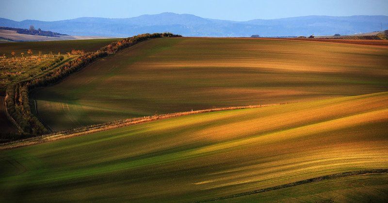 50 оттенков осени......photo preview