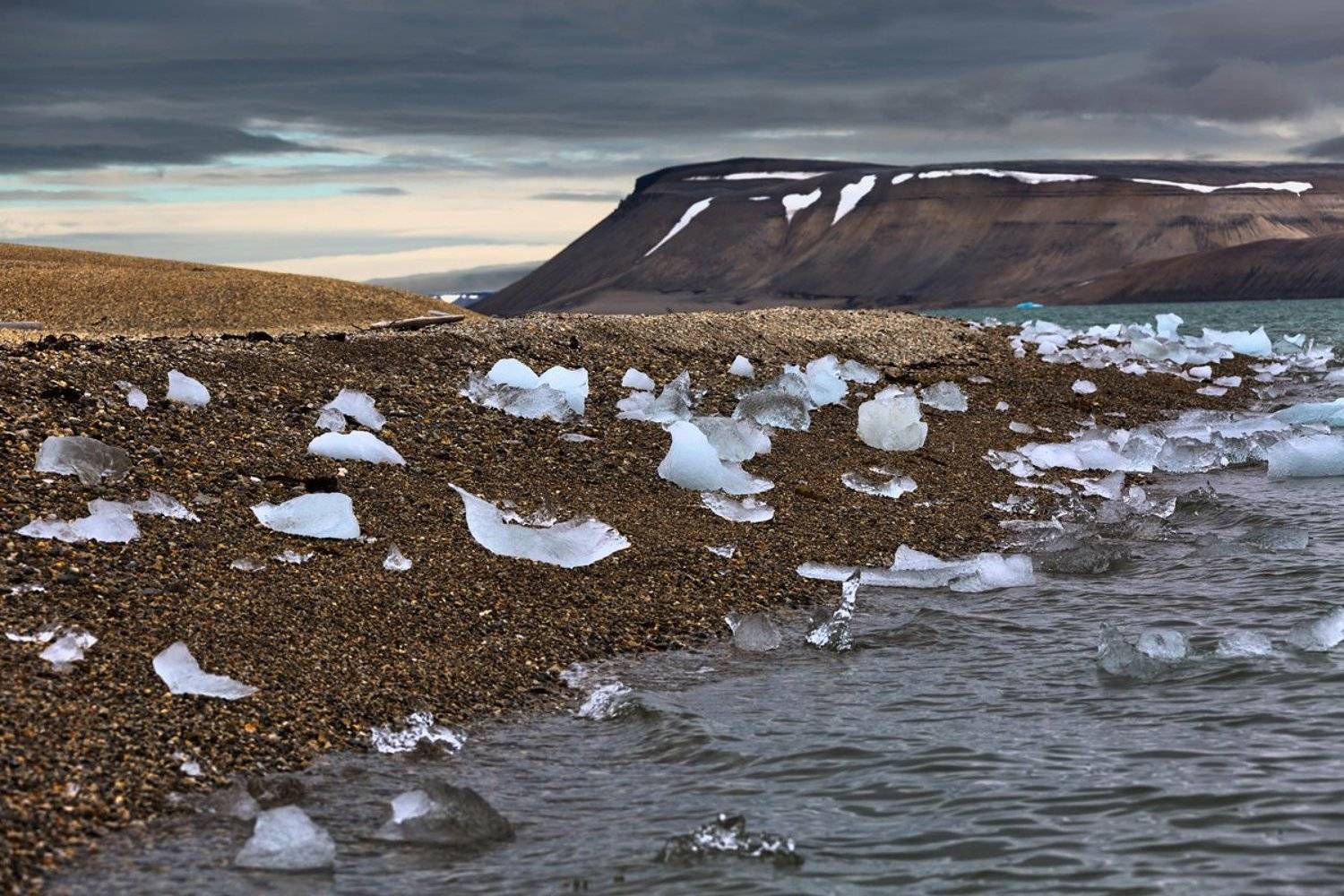 Белая стая. Автор: Slavado шпицберген, арктика, Slavado