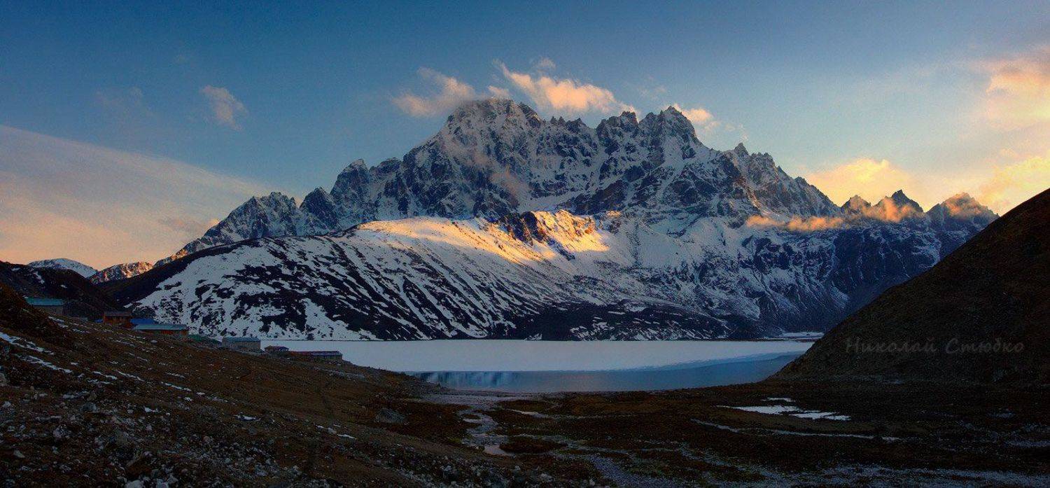 , Николай Стюбко