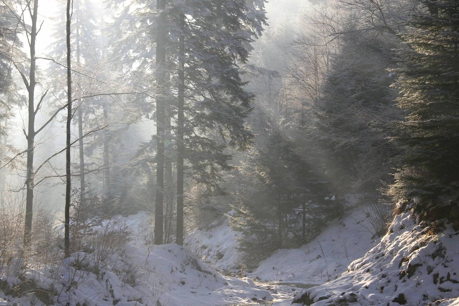 Winter.... Автор: Krzysztof Tomasiak , Krzysztof Tomasiak