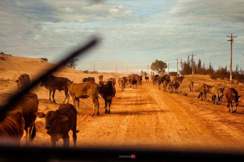 Пробки на Вьетнамских дорогах photo preview