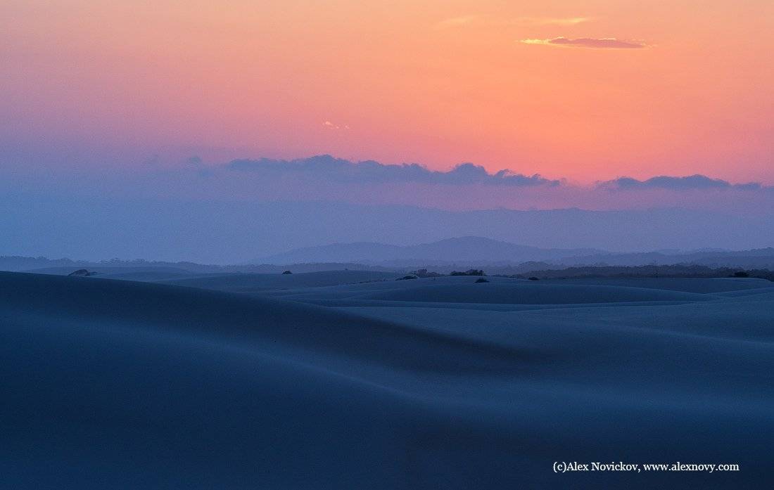 australia, Alex Novikov