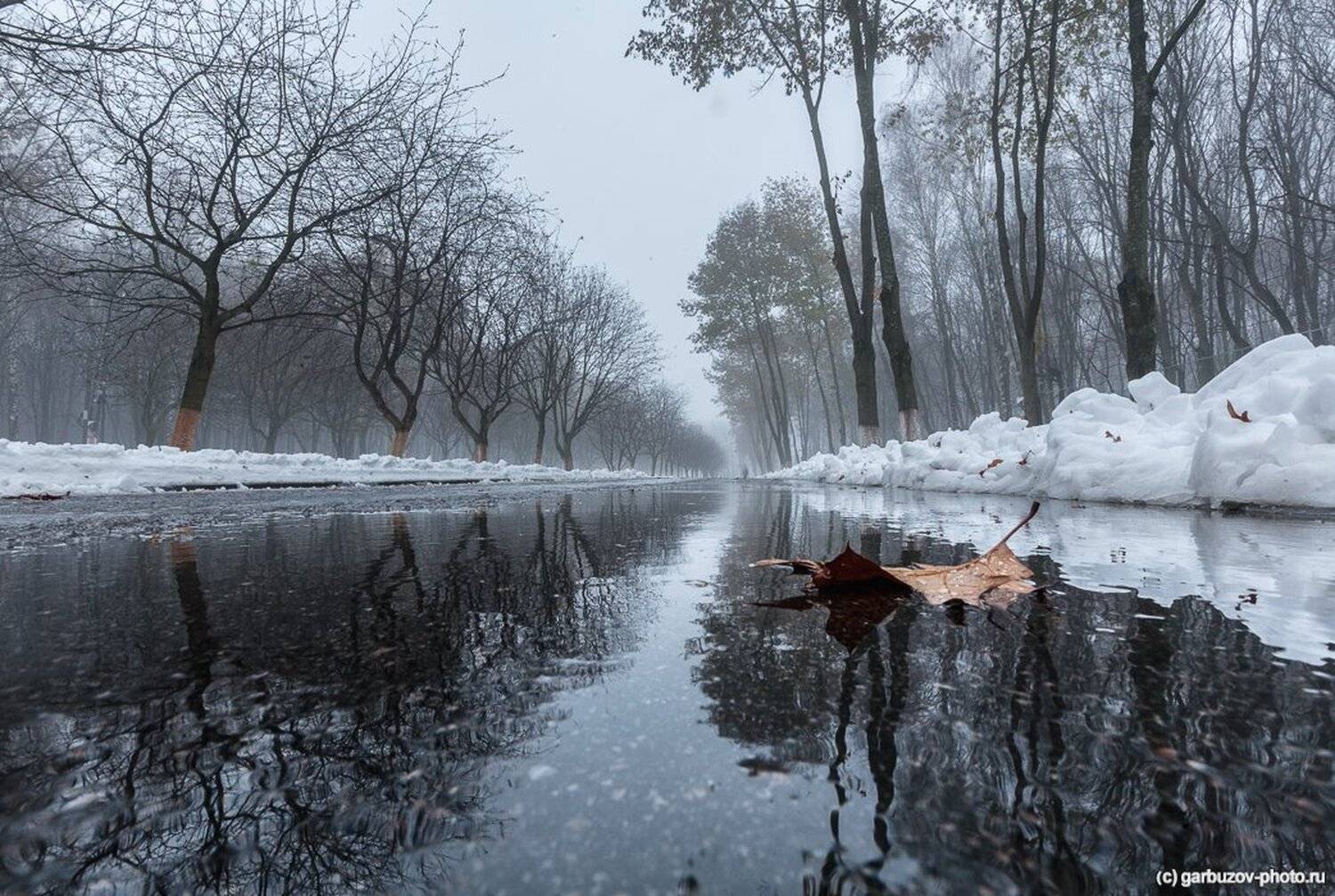 Утро в городском парке. Автор: Гарбузов Илья , Гарбузов Илья
