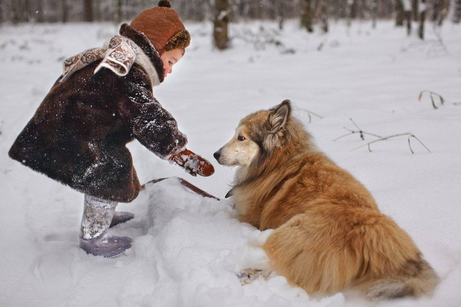 , Коровина Елена