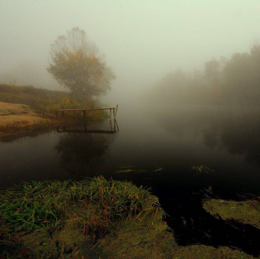 Тридцать дней тому назад.. Автор: Петриченко Валерий осень, река, туман, утро, Петриченко Валерий