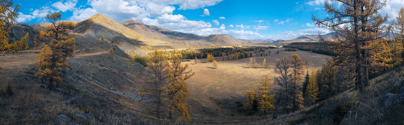 степь самаха, река, аргут, джазатор, осень, облака, тени, лиственницы, горный алтай Pro степь Самаха и реку Аргутphoto preview
