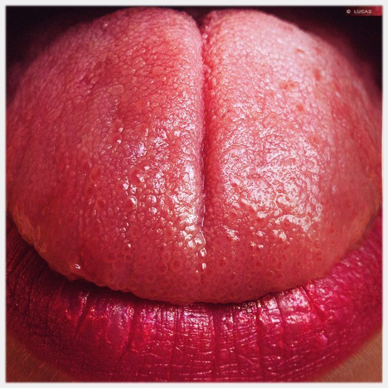 lucas, lucastudio, nude Red Chameleon ©photo preview