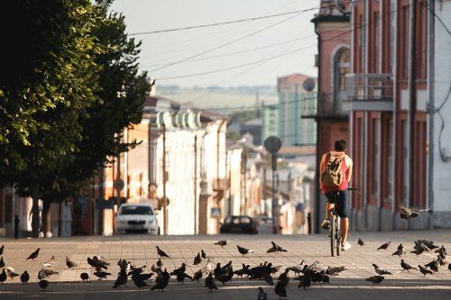 Елец
