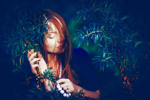 The Girl of Amber