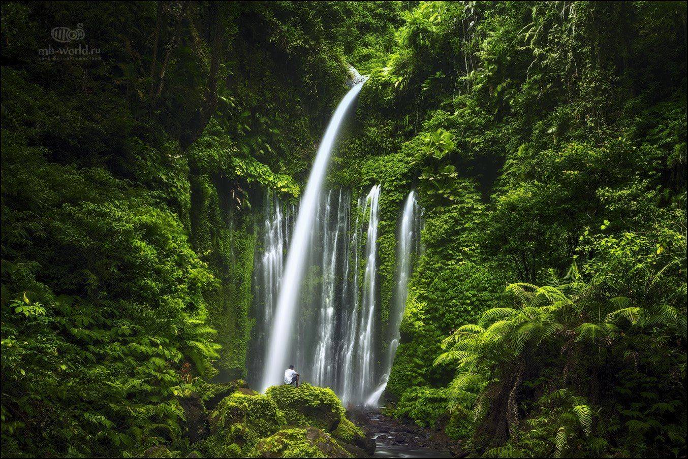 Водопад Air Terjun Tiu Kelep. Автор: Михаил Воробьев Индонезия, Ломбок, водопад, джунгли, природа, остров, Михаил Воробьев