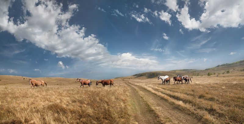 Караби-яйлаphoto preview