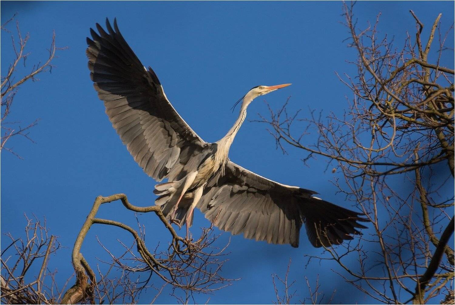 , Руслан Сигушин