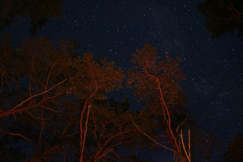 куршская коса, море, ночь, звезды, свет костра ***photo preview