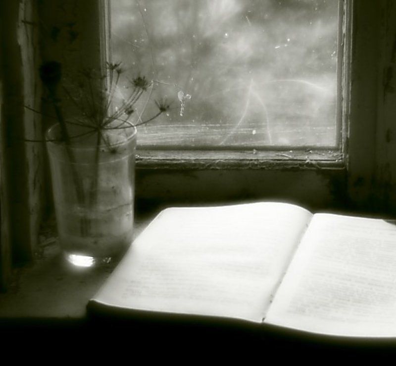 Забытое лето.photo preview