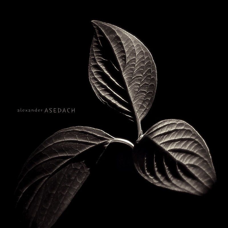 квадратный монохромphoto preview