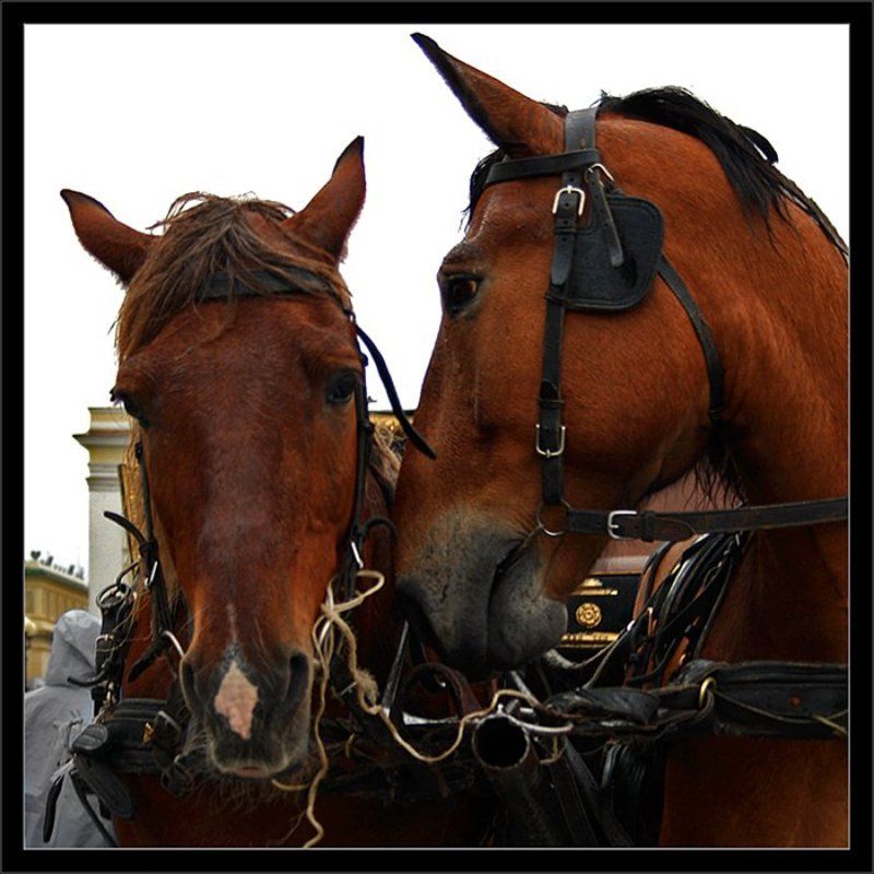 Про любовьphoto preview