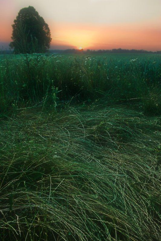 Там, где конь не валялсяphoto preview