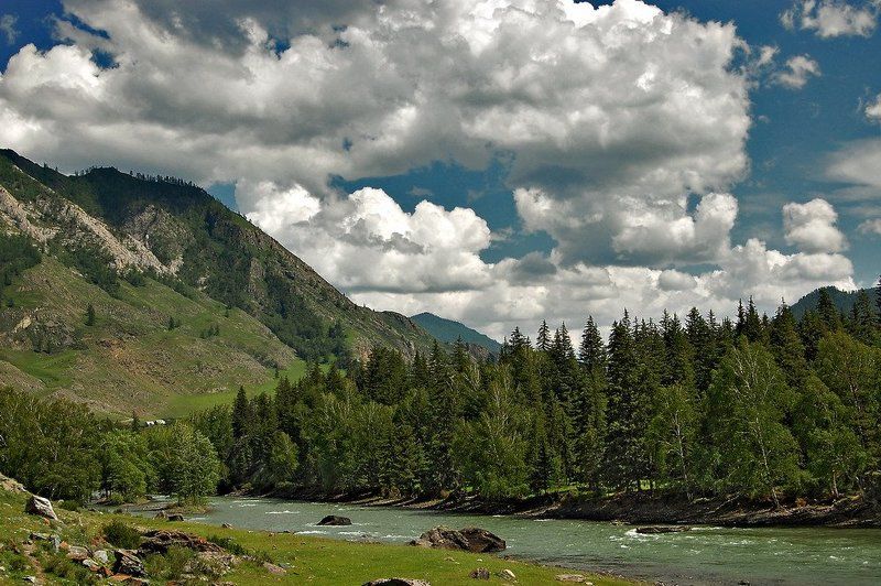 горы, лес, река, небо, облака, лето, алтай photo preview