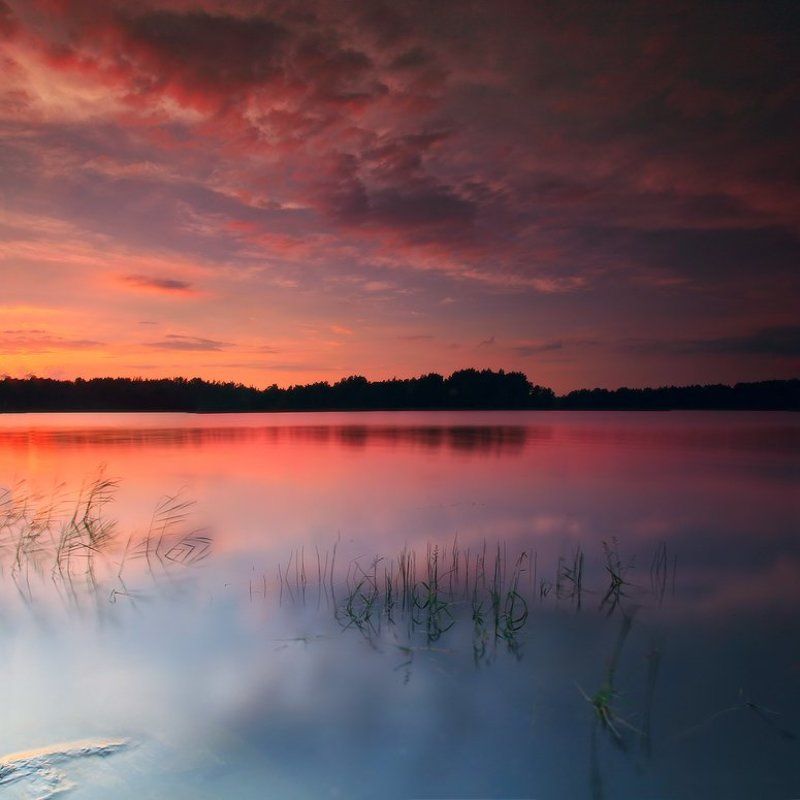 Тишинаphoto preview