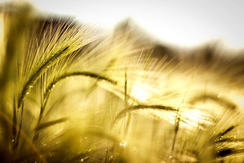 На закате  дняphoto preview