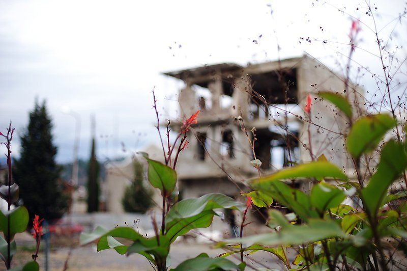 Абхазия (Сухум -декабрь 2009)photo preview