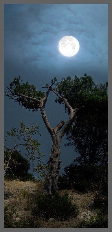 мистика, горы, крым мистика крымских горphoto preview