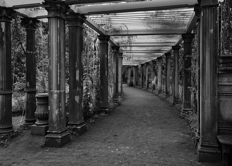 Сквозь время...photo preview