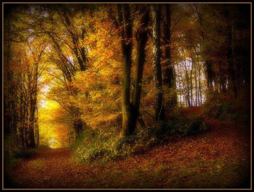 Волшебство уходших дней. Автор: Павел Хлыпенко , Павел Хлыпенко