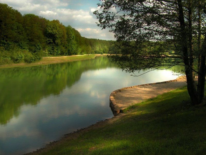 - Есть в старом парке старый пруд. Там лилии цветут.. -photo preview