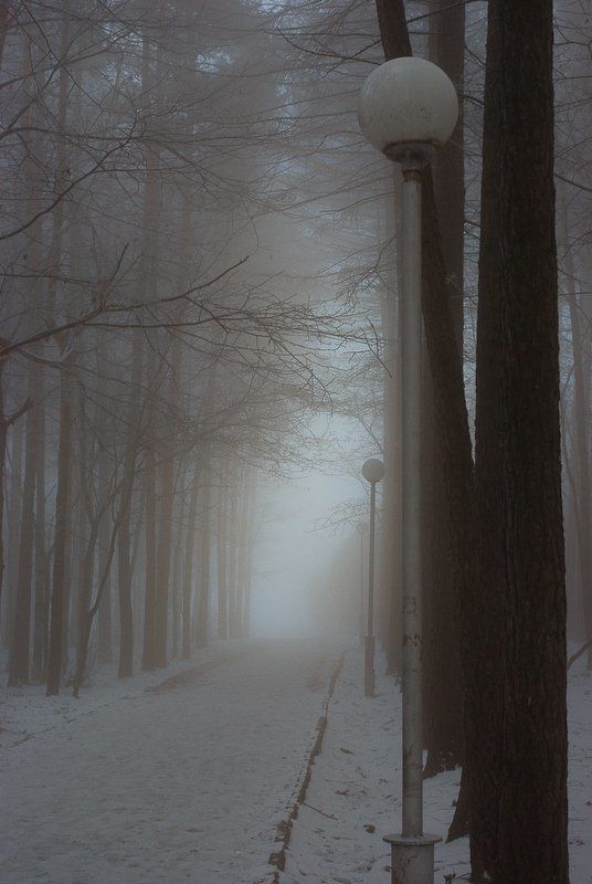 мороз, туман, зима Воздухphoto preview