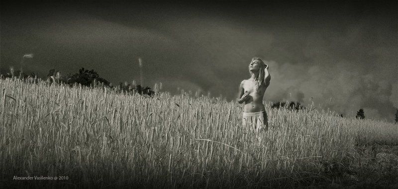 Прогулки по лету...photo preview