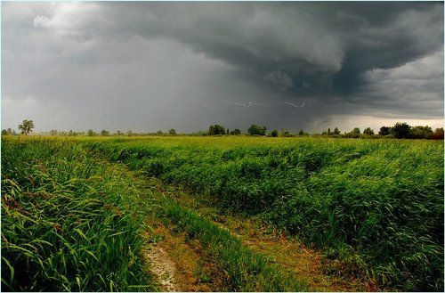 Грозовой фронт (1)