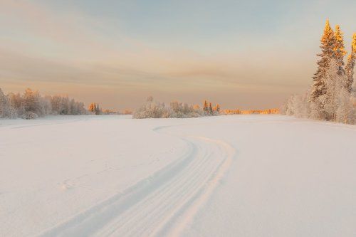 Морозный день севера