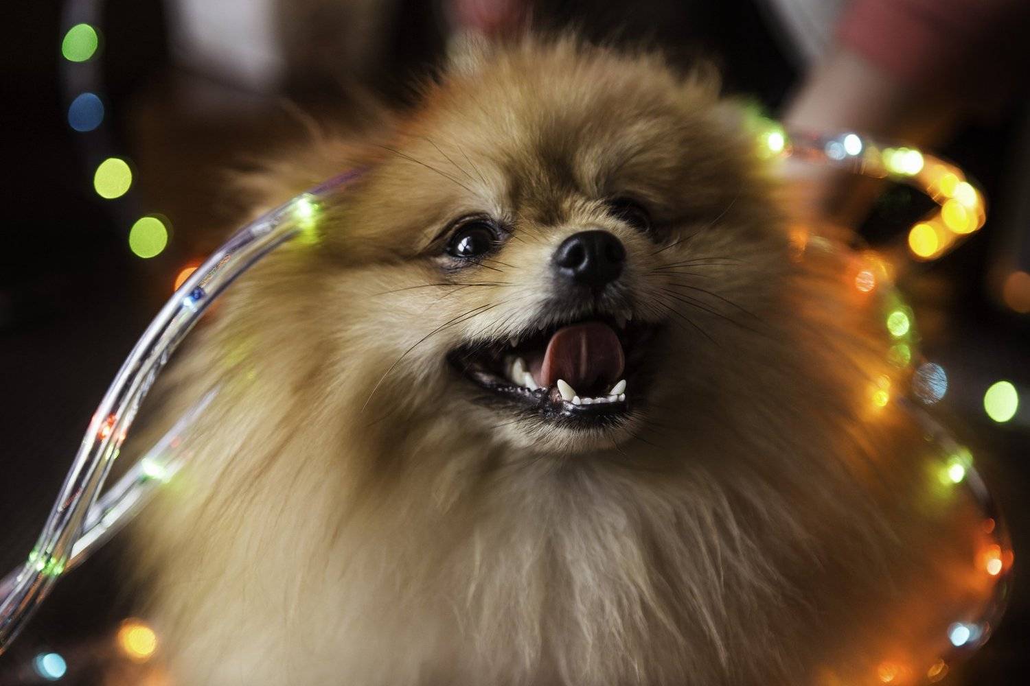 Бриллиант. Автор: Маргарита Орбелян , Маргарита Орбелян