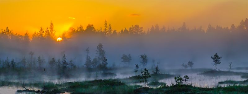 болото, восход, карелия, лето, пейзаж, природа, рассвет, север, туман, утро На болотеphoto preview