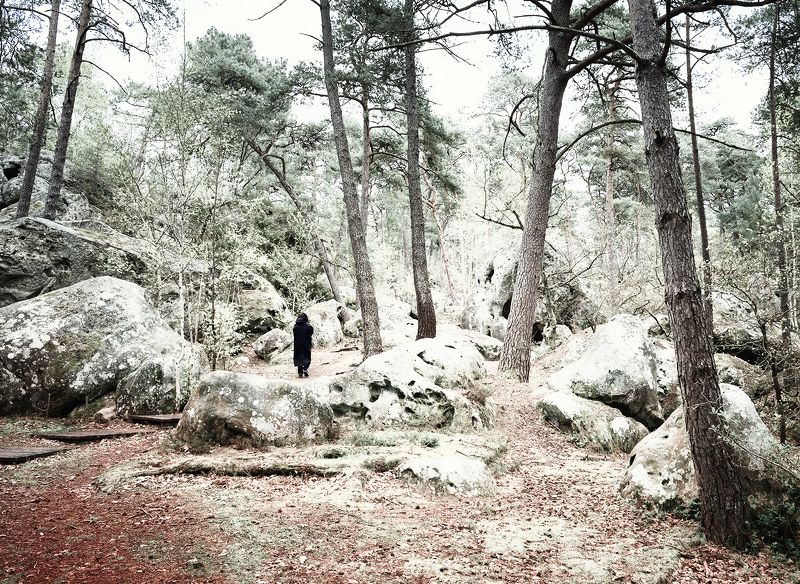 fontainebleau, лес фонтенбло не оглядывайся!photo preview