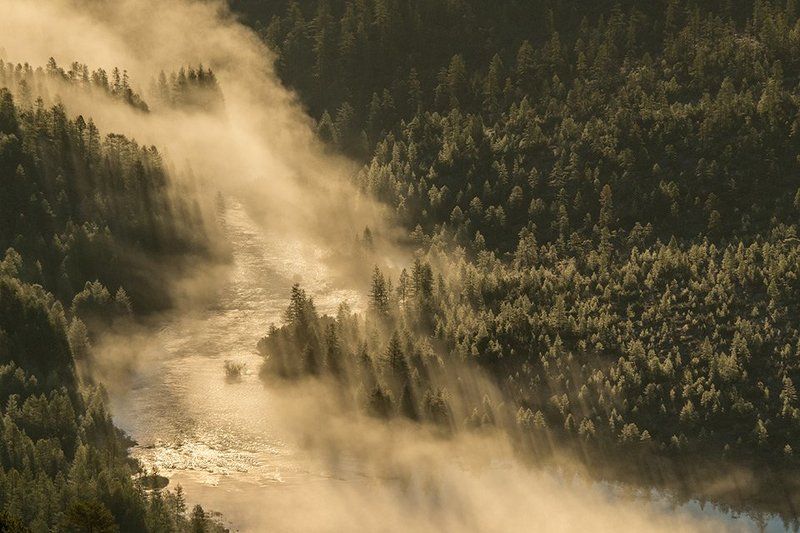 колыма, озеро джека лондона, река кюель-сиен, магаданская область, россия, река, утро, рассвет, лиственницы, туман Кюель-Сиенphoto preview