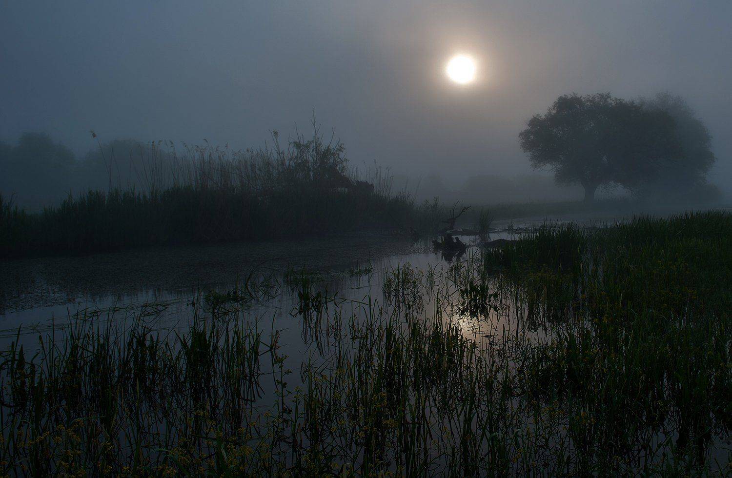 , Валерий Смирнов