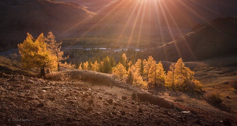 алтай, осень, пейзаж Алтайская осень...photo preview